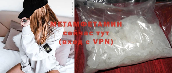гидра Аркадак