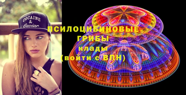 спиды Арсеньев