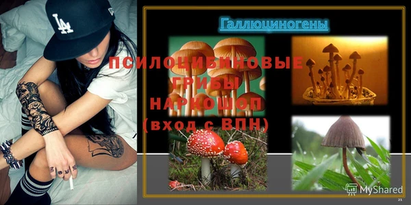 гидра Аркадак