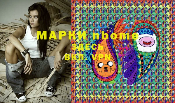 гидра Аркадак
