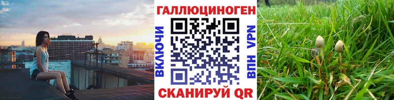 Псилоцибиновые грибы Magic Shrooms  Шумерля 